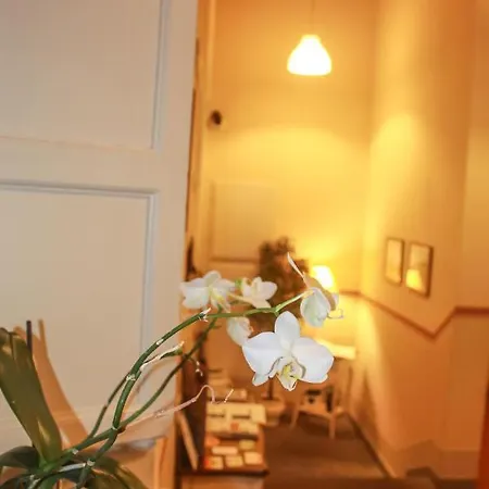 住宿加早餐酒店 伊尔塞米纳里奥住宿加早餐酒店